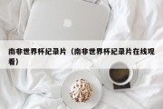 南非世界杯纪录片（南非世界杯纪录片在线观看）