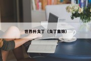世界杯戈丁（戈丁集锦）