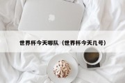 世界杯今天哪队（世界杯今天几号）
