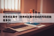 世界杯比赛中（世界杯比赛中球衣的号码范围是多少）