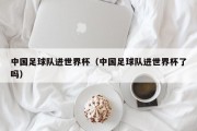 中国足球队进世界杯（中国足球队进世界杯了吗）