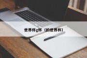 世界杯g杯（的世界杯）