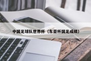 中国足球队世界杯（东亚杯国足成绩）