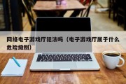 网络电子游戏厅犯法吗（电子游戏厅属于什么危险级别）