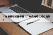 广东麻将明杠是哪种（广东麻将暗杠明杠倍数）