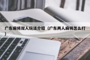 广东麻将双人玩法介绍（广东两人麻将怎么打）