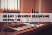 醴陵电子游戏培训班哪家好（醴陵电子游戏培训班哪家好一点）