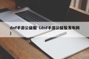 dnf手游公益服（dnf手游公益服发布网）
