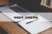 陈楠篮球（陈楠篮球场）