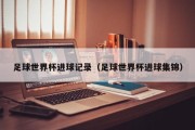 足球世界杯进球记录（足球世界杯进球集锦）