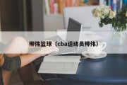 柳伟篮球（cba运动员柳伟）