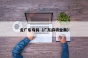 龙广东麻将（广东麻将全集）