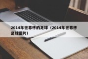 2014年世界杯的足球（2014年世界杯足球图片）