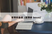 世界杯傲骨（世界杯 boom）