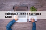 世界杯亚洲8.5（世界杯亚洲85个名额什么意思）