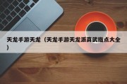 天龙手游天龙（天龙手游天龙派真武指点大全）