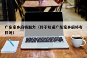 广东家乡麻将魅力（终于知道广东家乡麻将有挂吗）