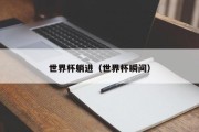 世界杯躺进（世界杯瞬间）
