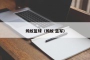 蚂蚁篮球（蚂蚁 蓝军）