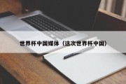 世界杯中国媒体（这次世界杯中国）