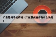 广东惠州手机麻将（广东惠州麻将有什么诀窍）