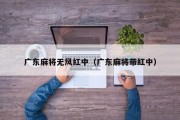 广东麻将无风红中（广东麻将带红中）