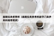 南斯拉夫世界杯（南斯拉夫世界杯前守门员伊夫科维奇现状）