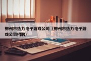 柳州市热力电子游戏公司（柳州市热力电子游戏公司招聘）