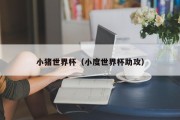 小猪世界杯（小度世界杯助攻）