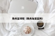 勒夫篮球鞋（勒夫加盟篮网）