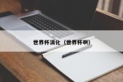 世界杯消化（世界杯啊）