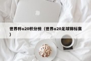 世界杯u20积分榜（世界u20足球锦标赛）