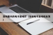 深圳最大的电子游戏厅（深圳电子游戏机批发）