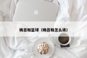 杨百翰篮球（杨百翰怎么读）