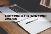 卡塔尔世界杯取消（卡塔尔2022世界杯取消是真的吗）