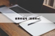 世界杯信号（世界杯w）