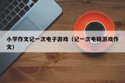 小学作文记一次电子游戏（记一次电脑游戏作文）